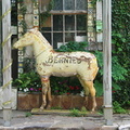 2007 06-Eureka Springs Horse